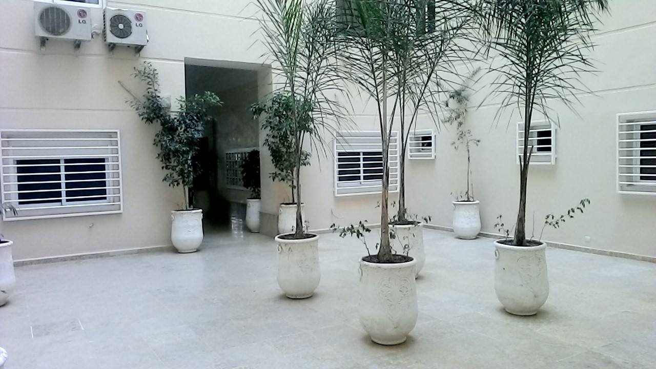 461397937 4231858397071673 3319336765449341698 N