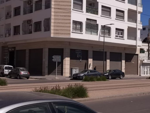 Whatsapp Image 2025 02 03 At 12.56.26