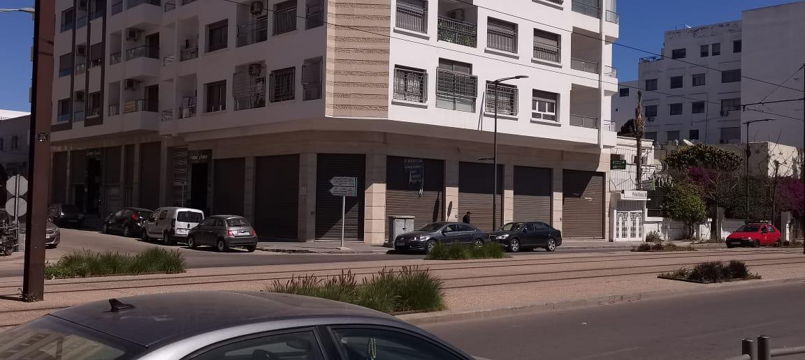 Whatsapp Image 2025 02 03 At 12.56.26