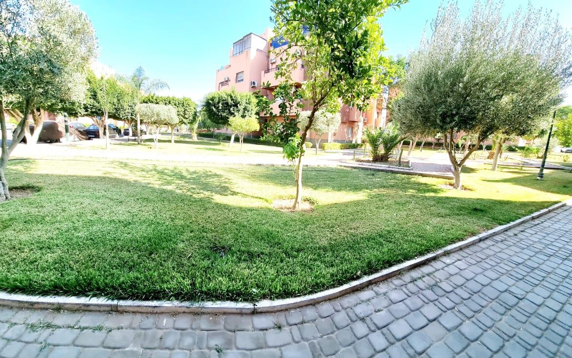 Whatsapp Image 2025 02 17 à 18.00.36 272315ff