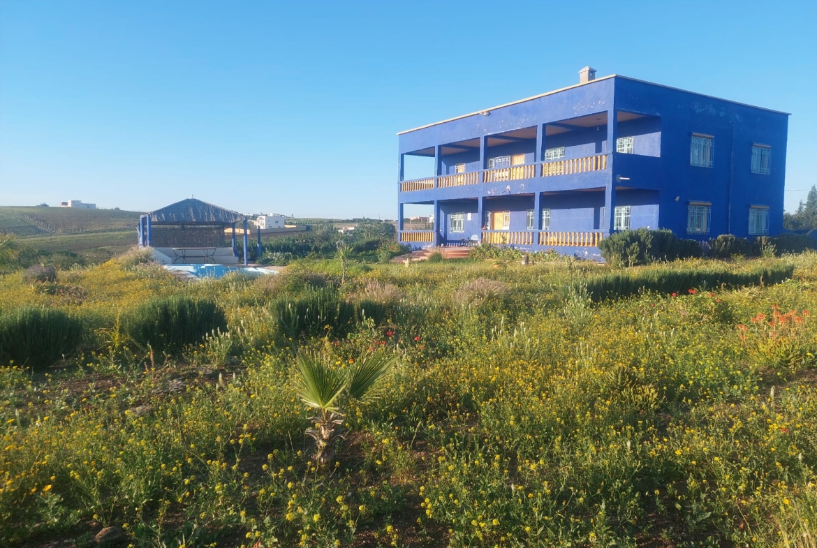 Whatsapp Image 2025 02 19 à 23.48.51 Cc6d71ad