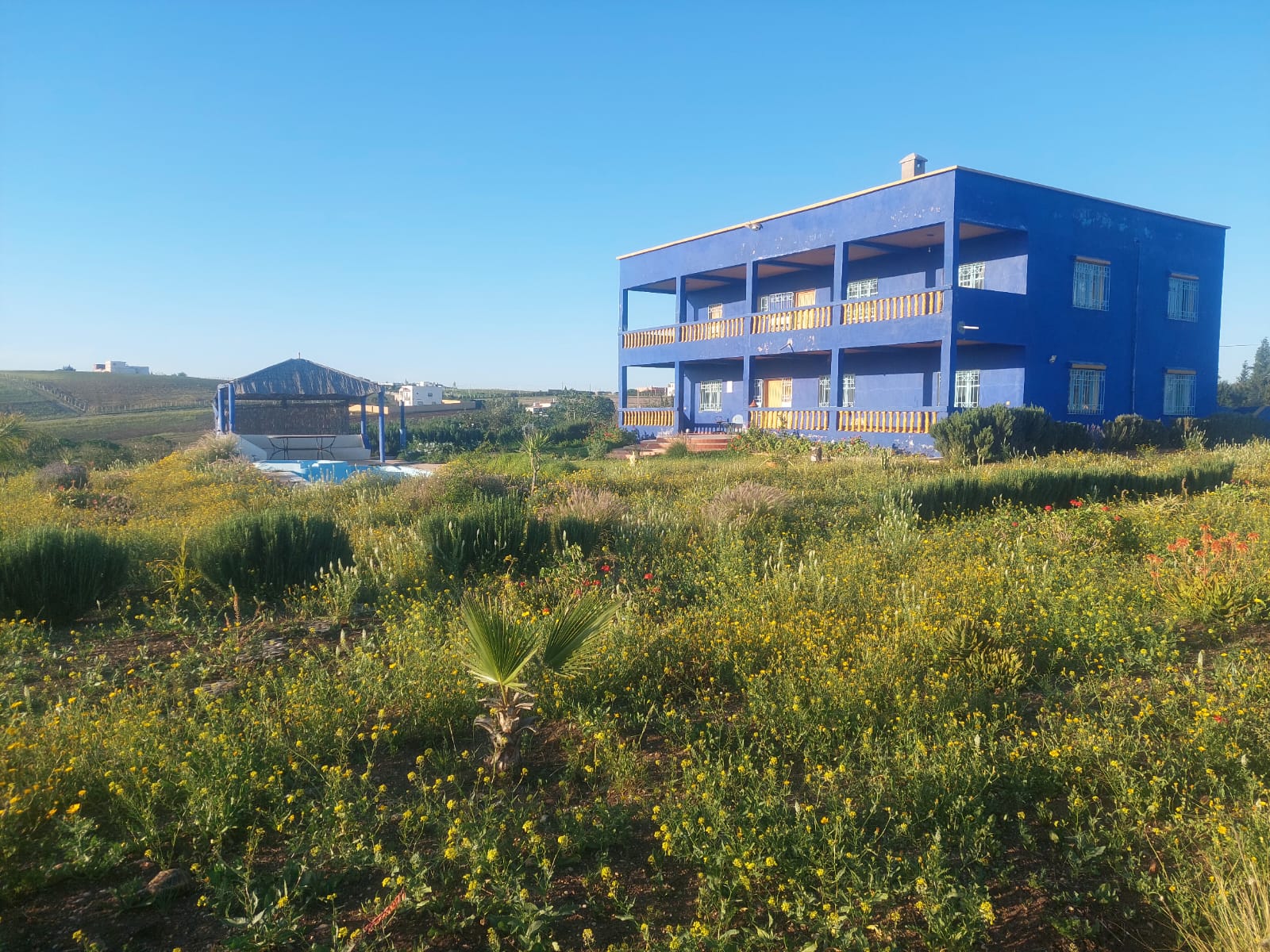 Whatsapp Image 2025 02 19 à 23.48.51 Cc6d71ad