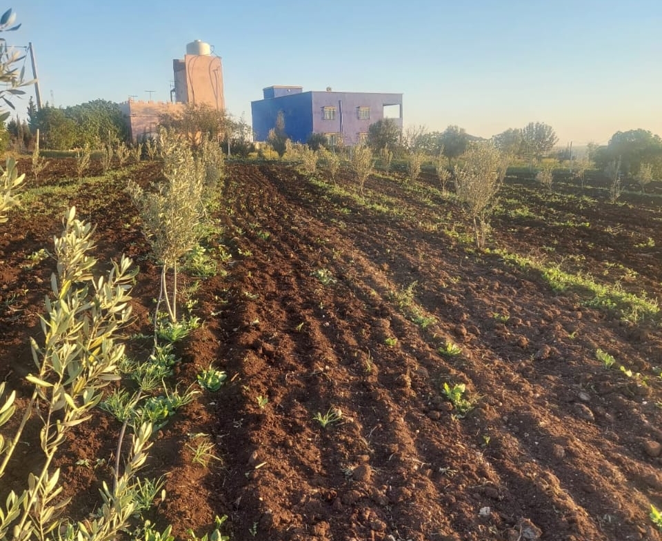 Whatsapp Image 2025 02 19 à 23.49.40 F87b72f2