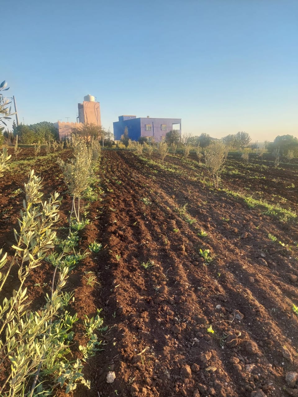 Whatsapp Image 2025 02 19 à 23.49.40 F87b72f2