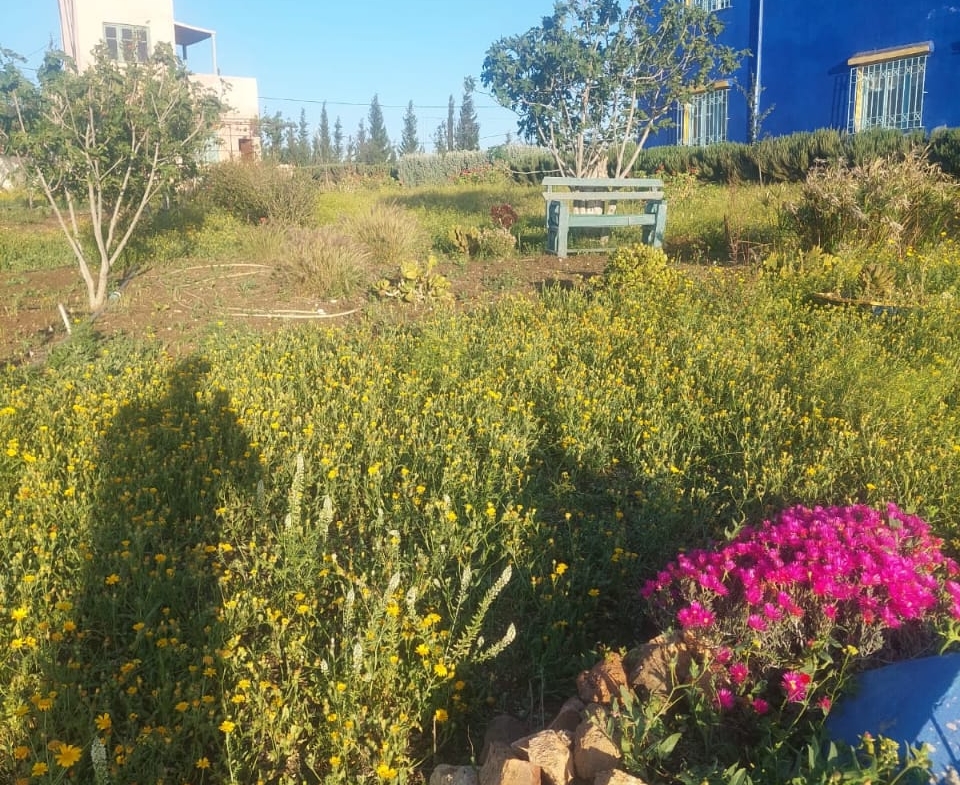 Whatsapp Image 2025 02 19 à 23.49.44 072e60cc