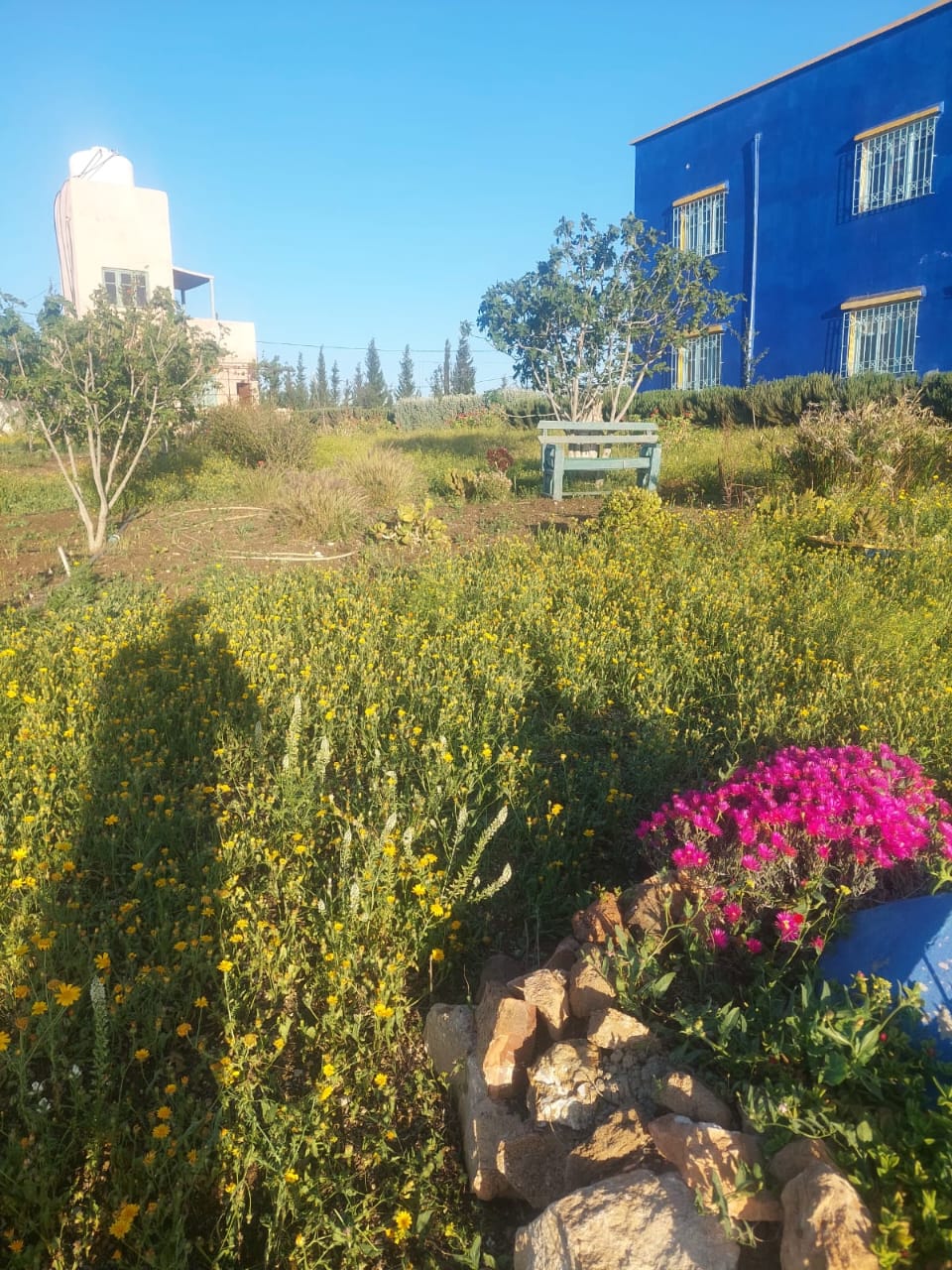 Whatsapp Image 2025 02 19 à 23.49.44 072e60cc