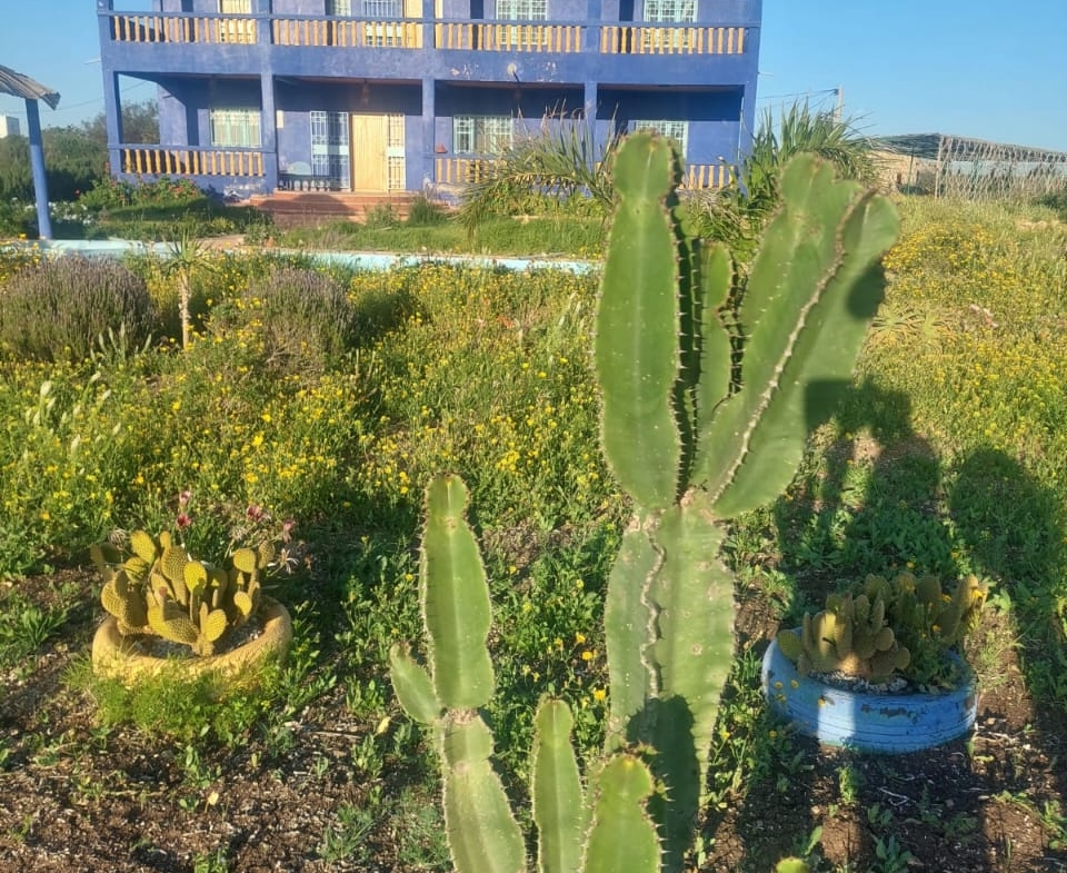 Whatsapp Image 2025 02 19 à 23.49.48 Fbc8dacd