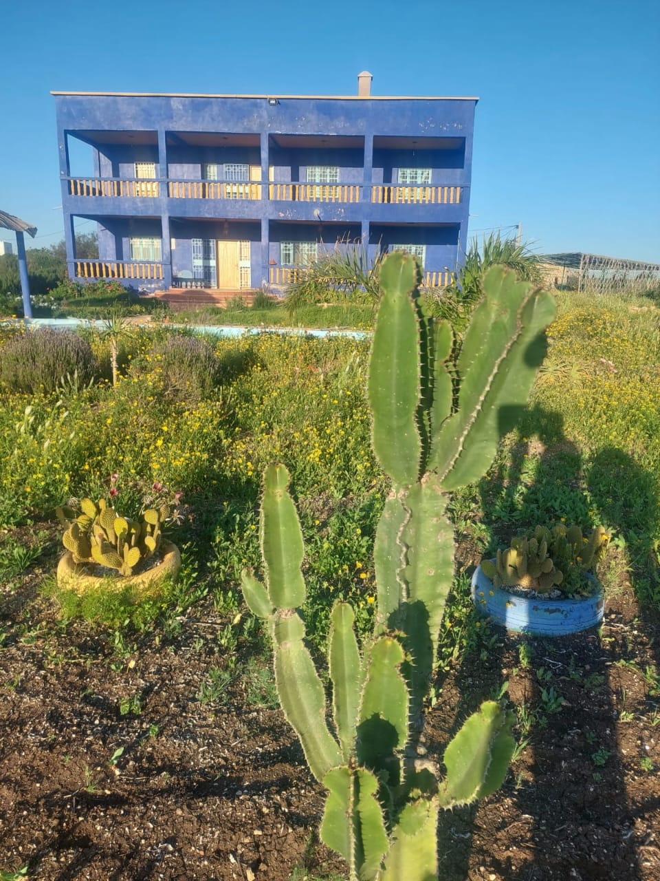 Whatsapp Image 2025 02 19 à 23.49.48 Fbc8dacd