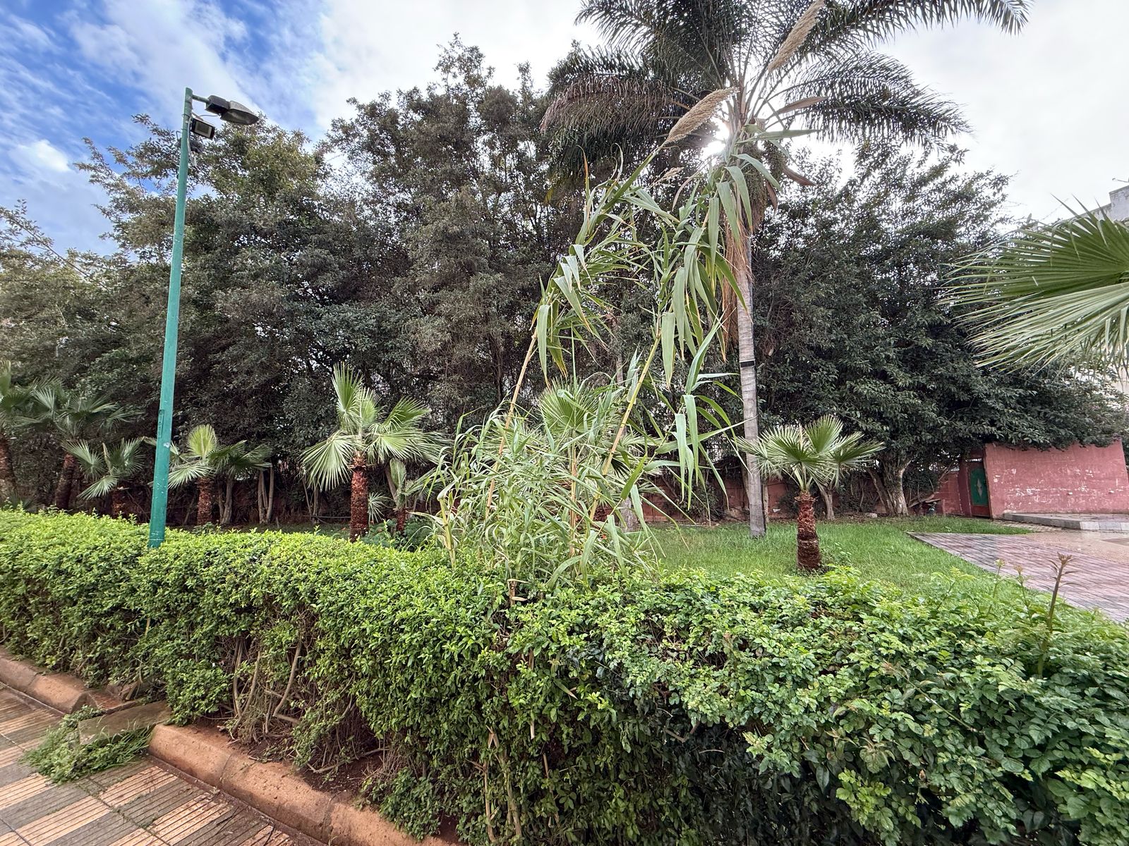 A1408ba7 6919 4cc2 9452 09ae6f169ba9