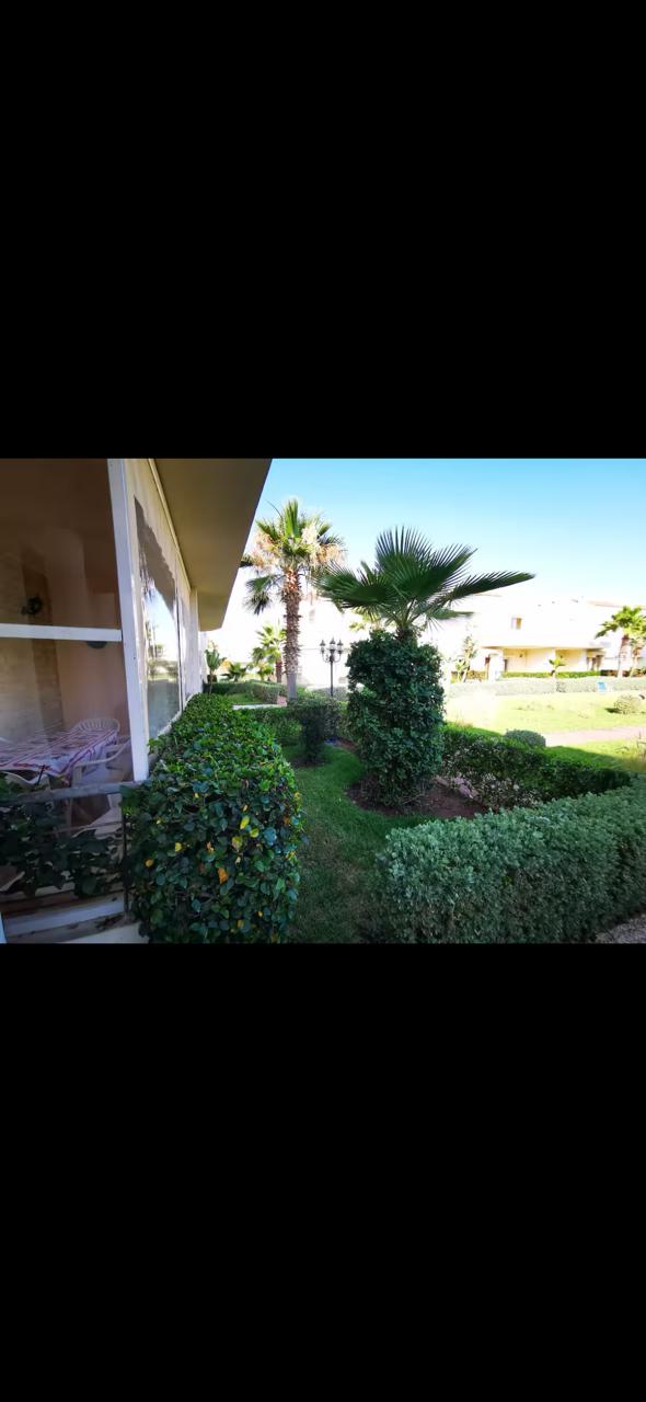 41ea6141 A51e 44b8 8966 06bb80204014