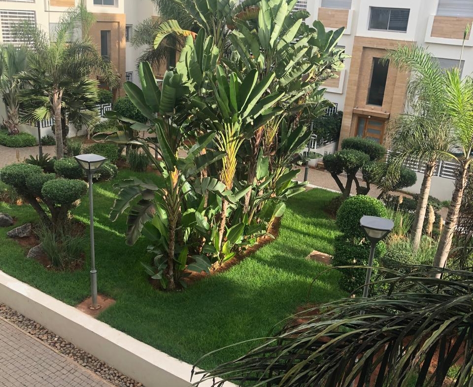 Whatsapp Image 2025 03 16 à 12.19.35 3e50cf31