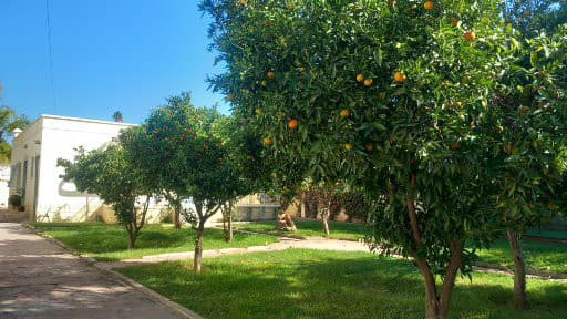 B0d07747 5352 4d35 9ed5 30a3ebbb19d2