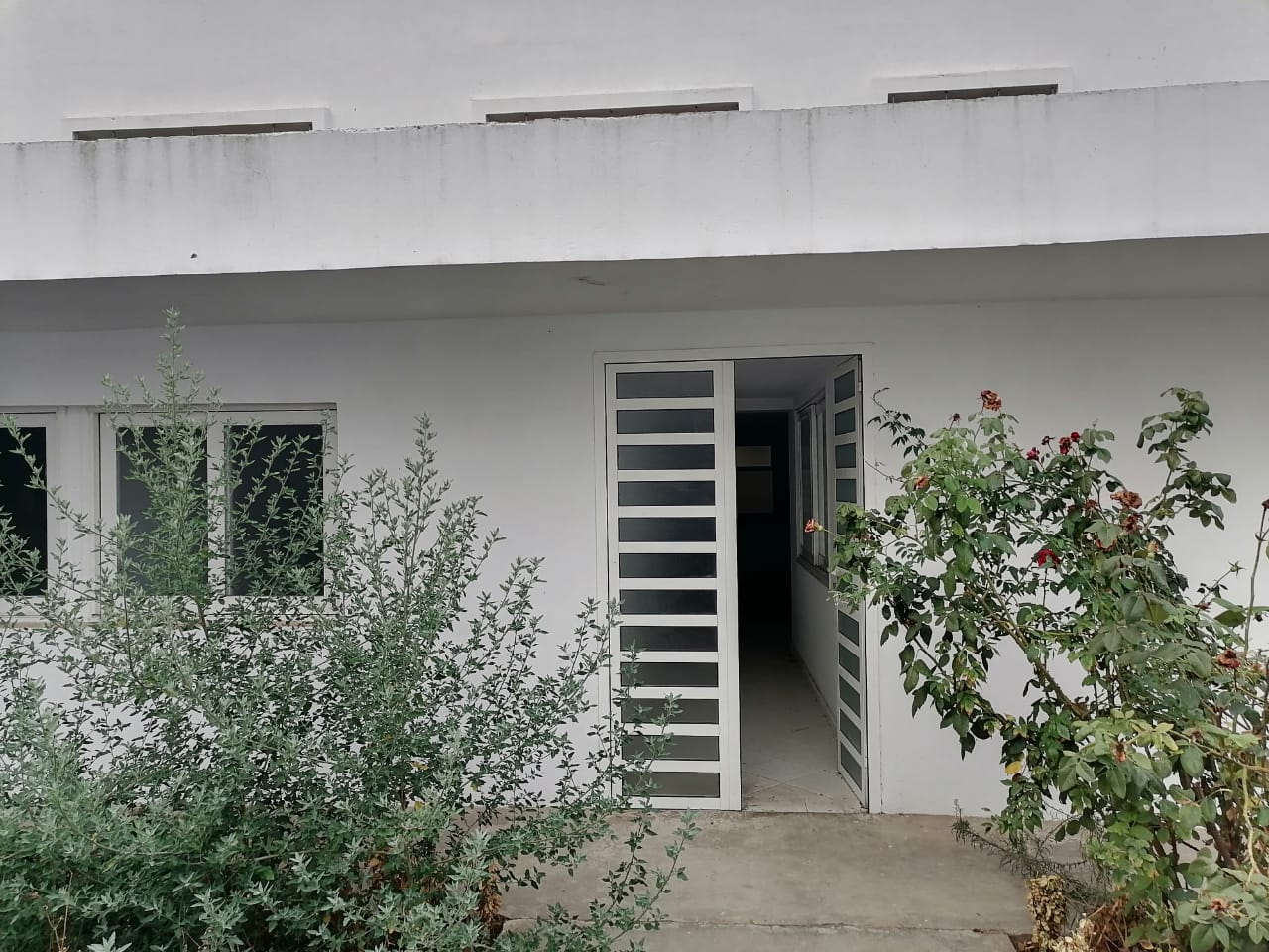 4ac723f8 391a 4e2d 80ff Fcdc3a4799f7