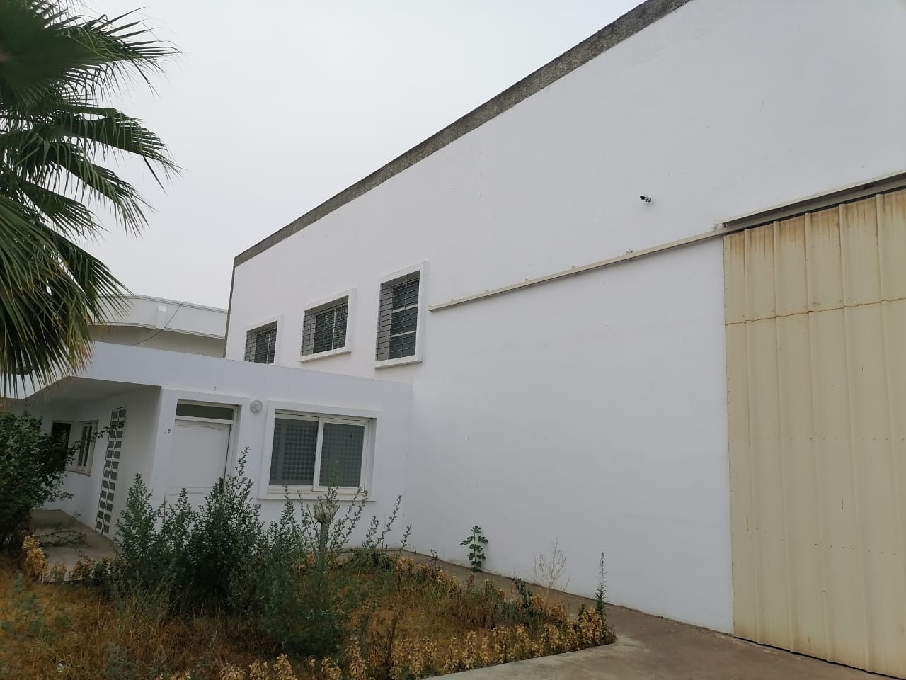 728fe668 84f5 4352 A6c7 8a99e2b54dc4