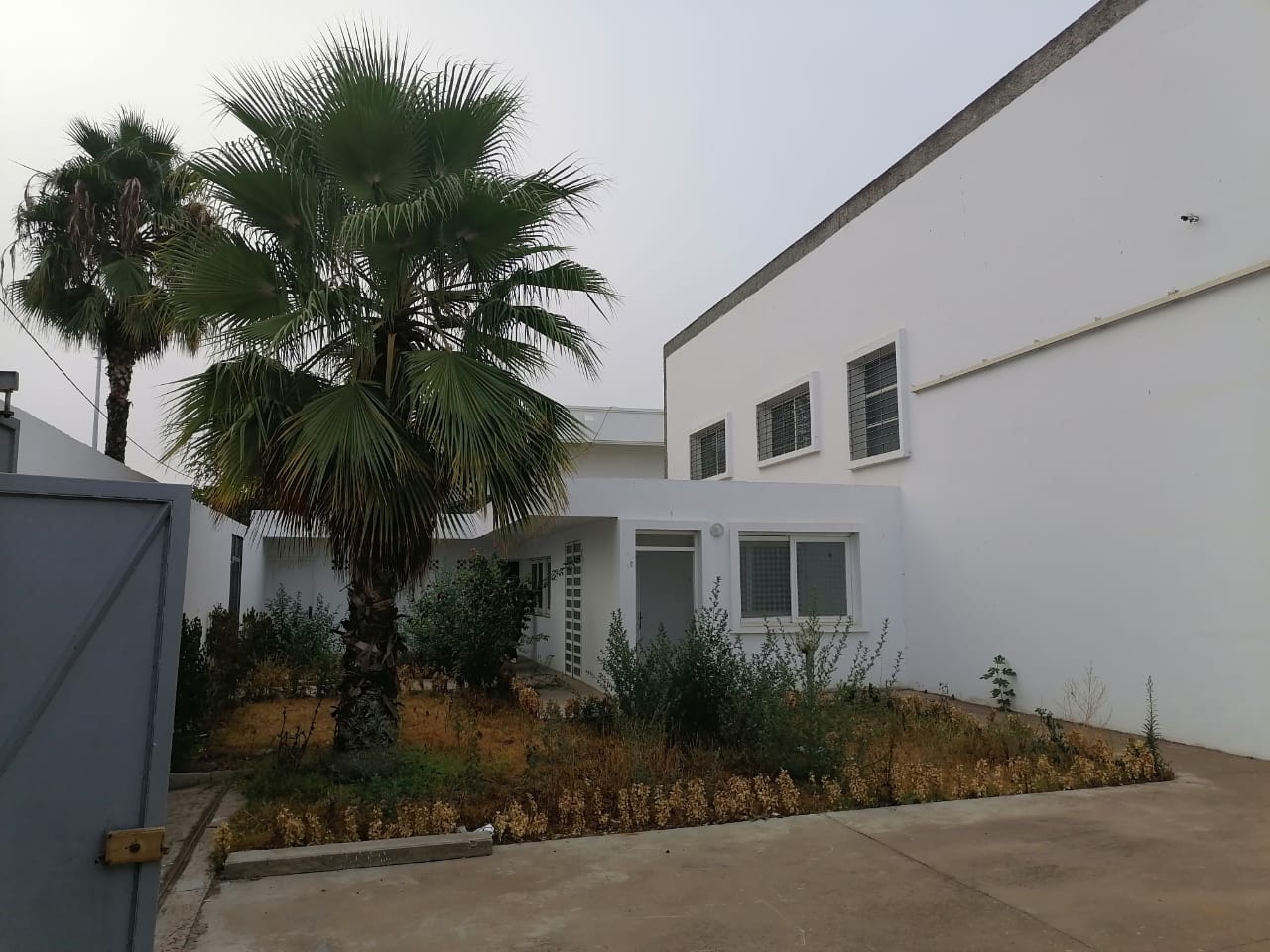 Ae540a24 57a5 4ba0 86a7 B05e56e6b157