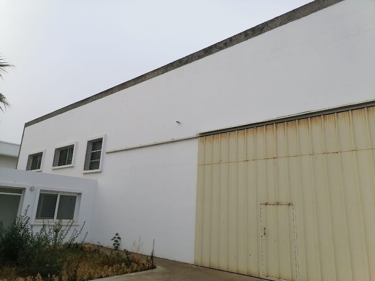 C865b3b9 8425 4c20 805a B1d3884a701b