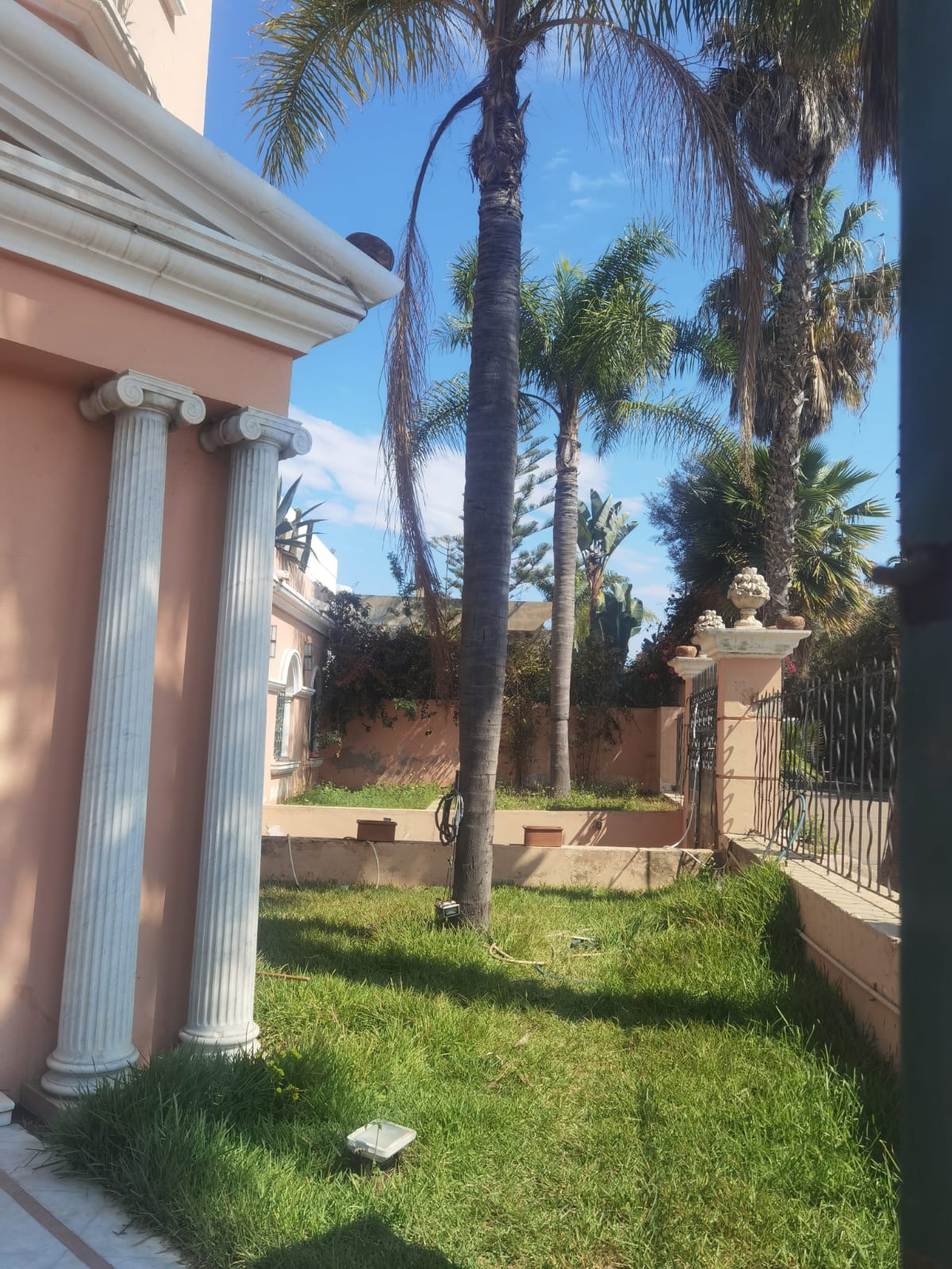 262d275d 8692 403b A9dc B99a0ea9ab94