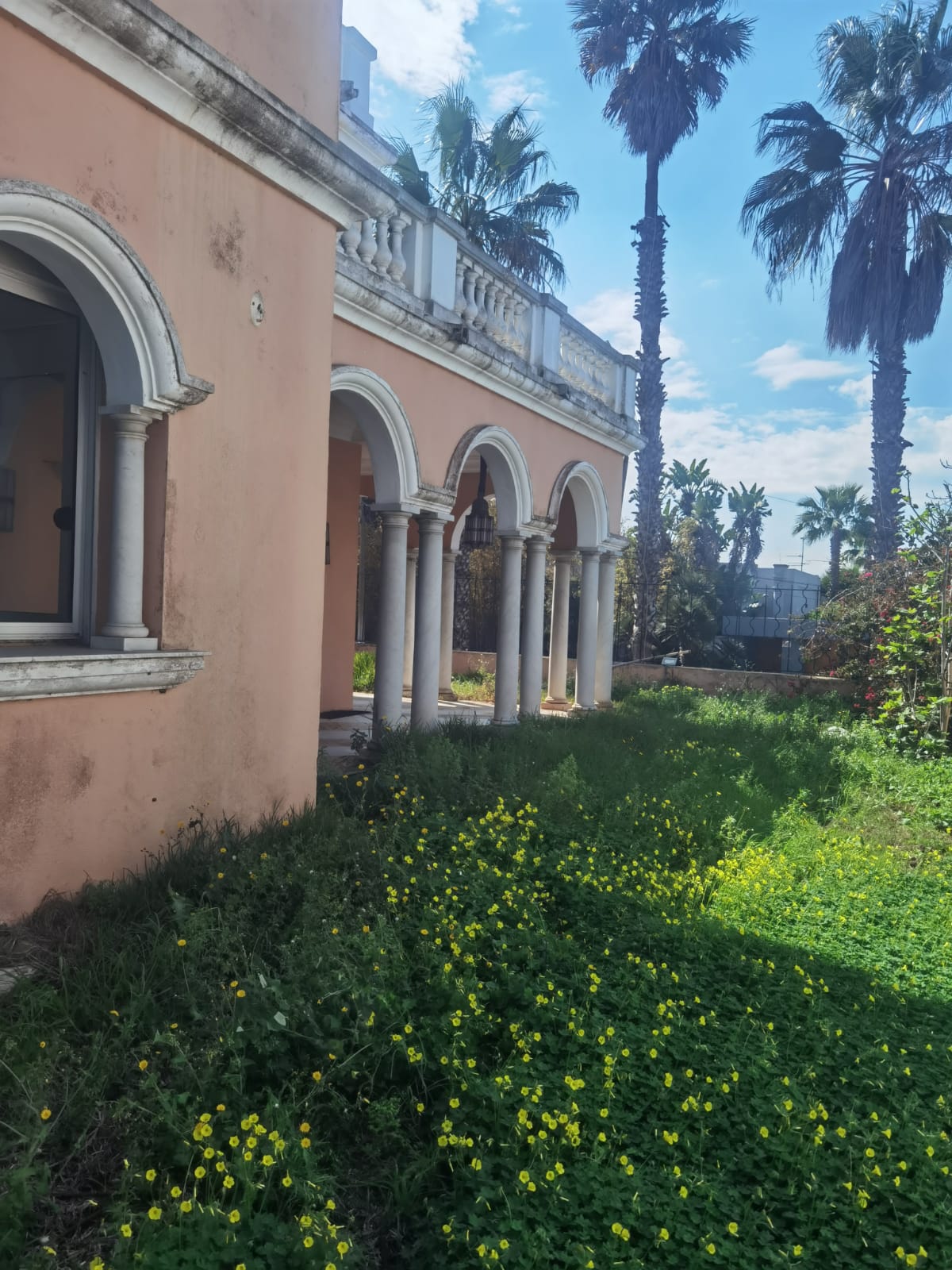 F97a6651 83ed 4c23 A3dd C1cc721c80c6