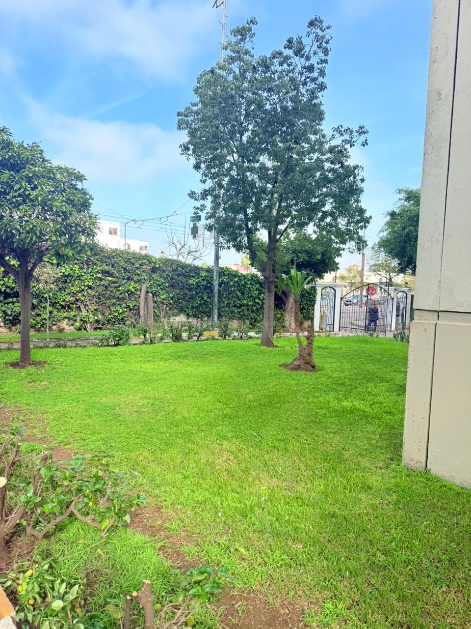 Whatsapp Image 2026 02 11 At 20.28.18