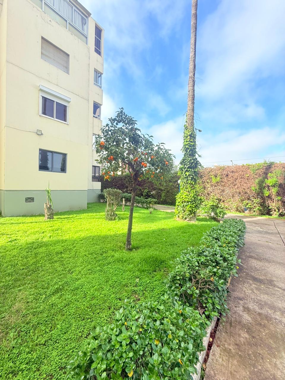 Whatsapp Image 2026 02 11 At 20.28.19