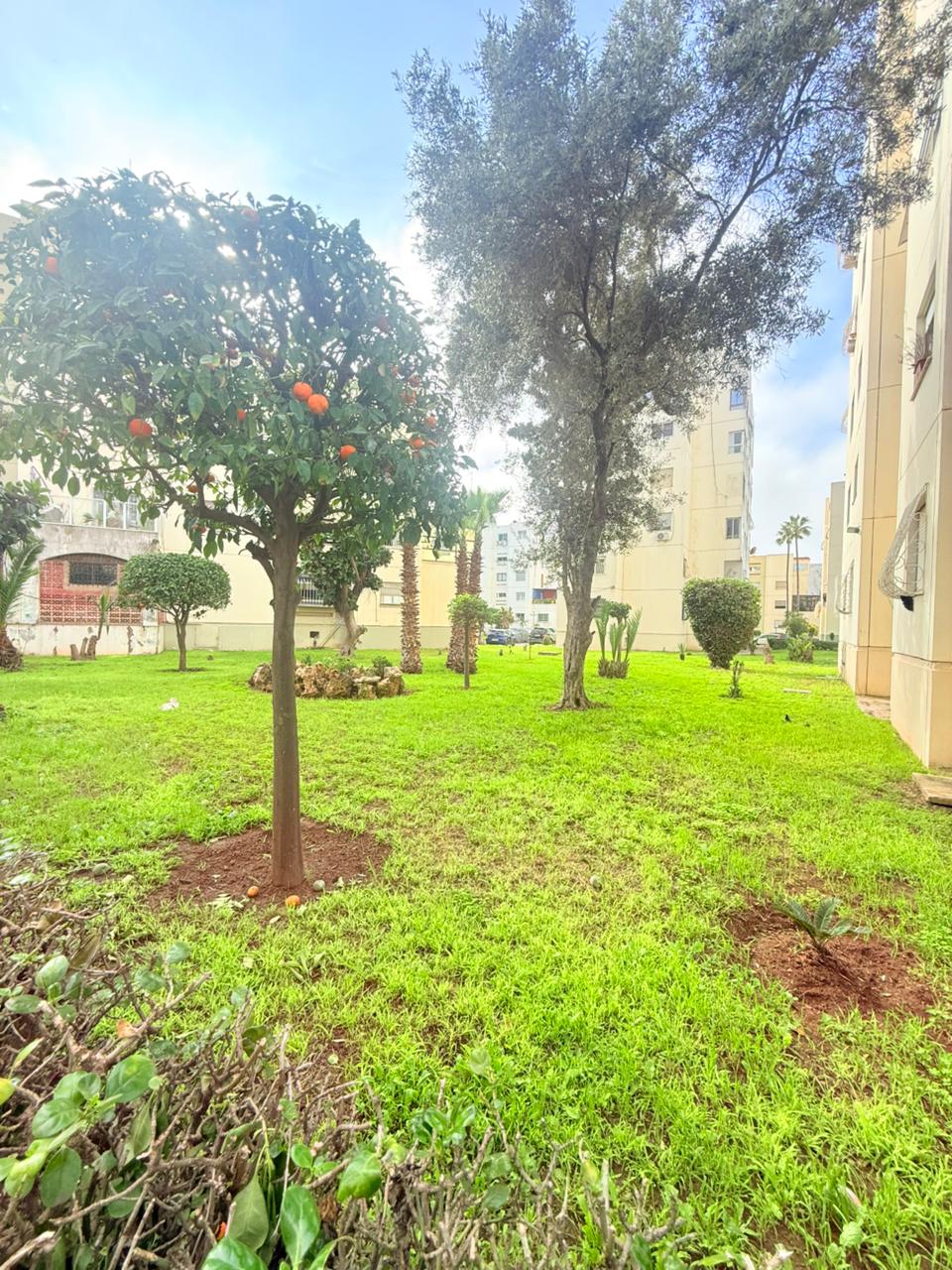 Whatsapp Image 2026 02 11 At 20.28.24