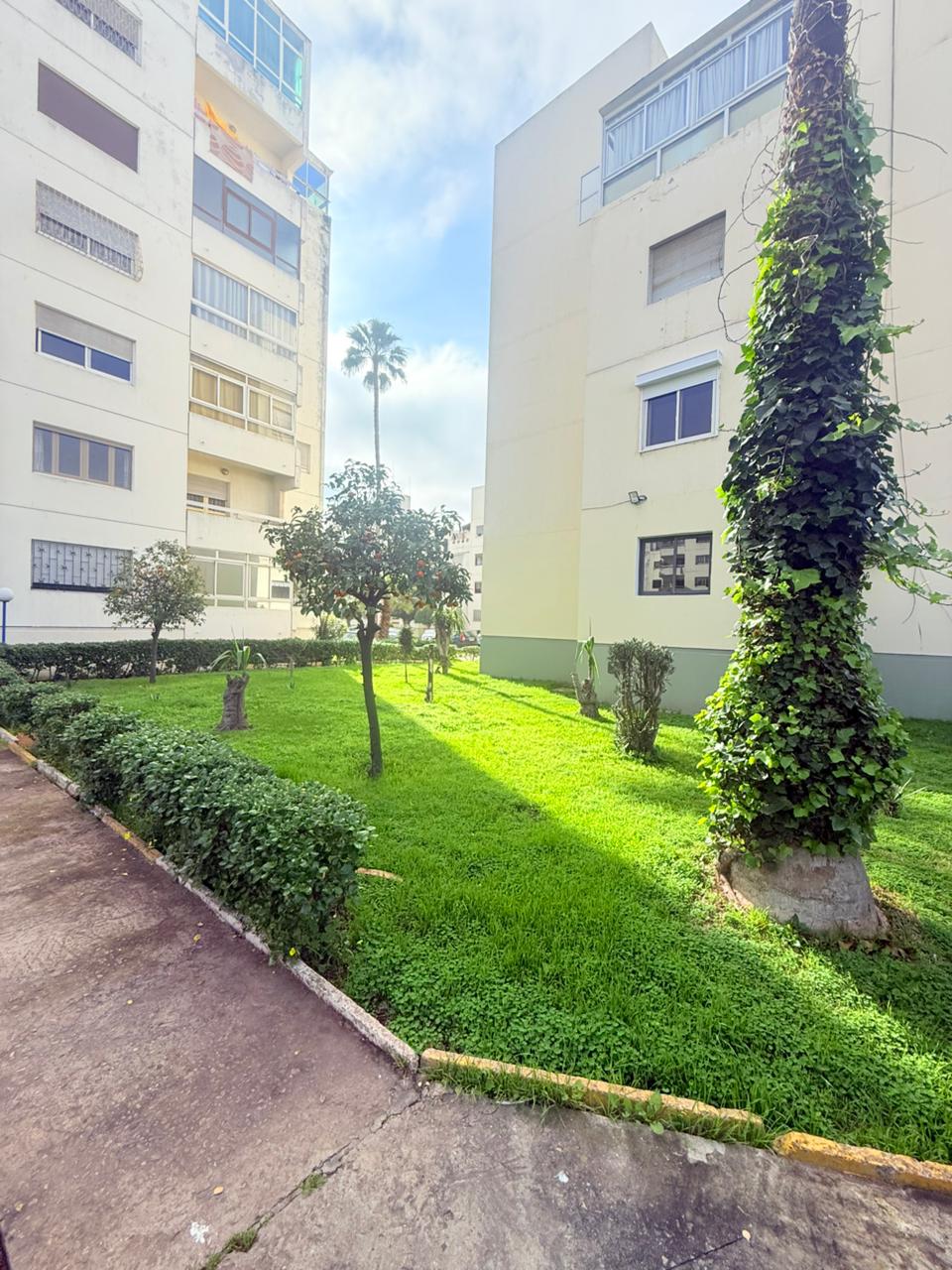 Whatsapp Image 2026 02 11 At 20.28.25