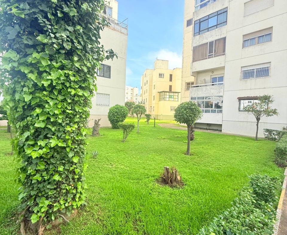 Whatsapp Image 2026 02 11 At 20.28.26