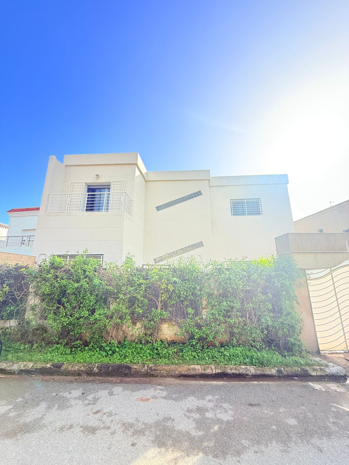 Whatsapp Image 2026 02 16 At 13.00.52