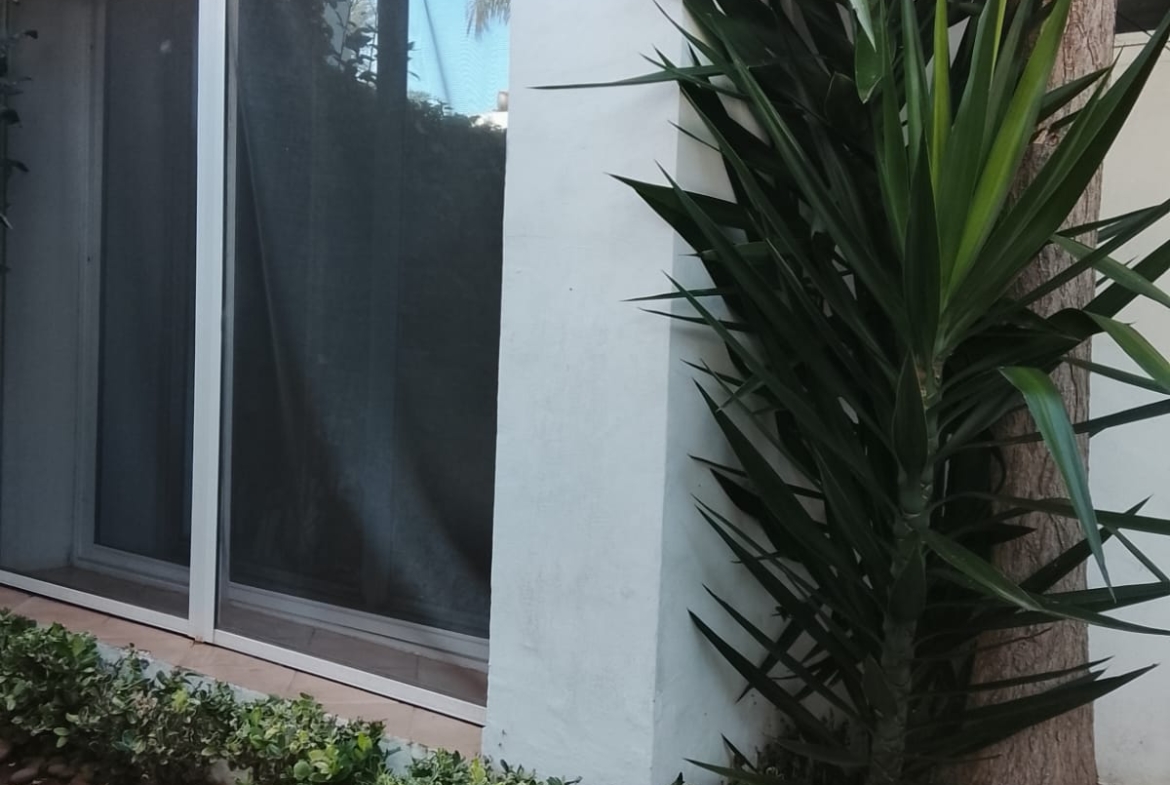 16209c31 D04a 4843 99d7 097ef011ea6a