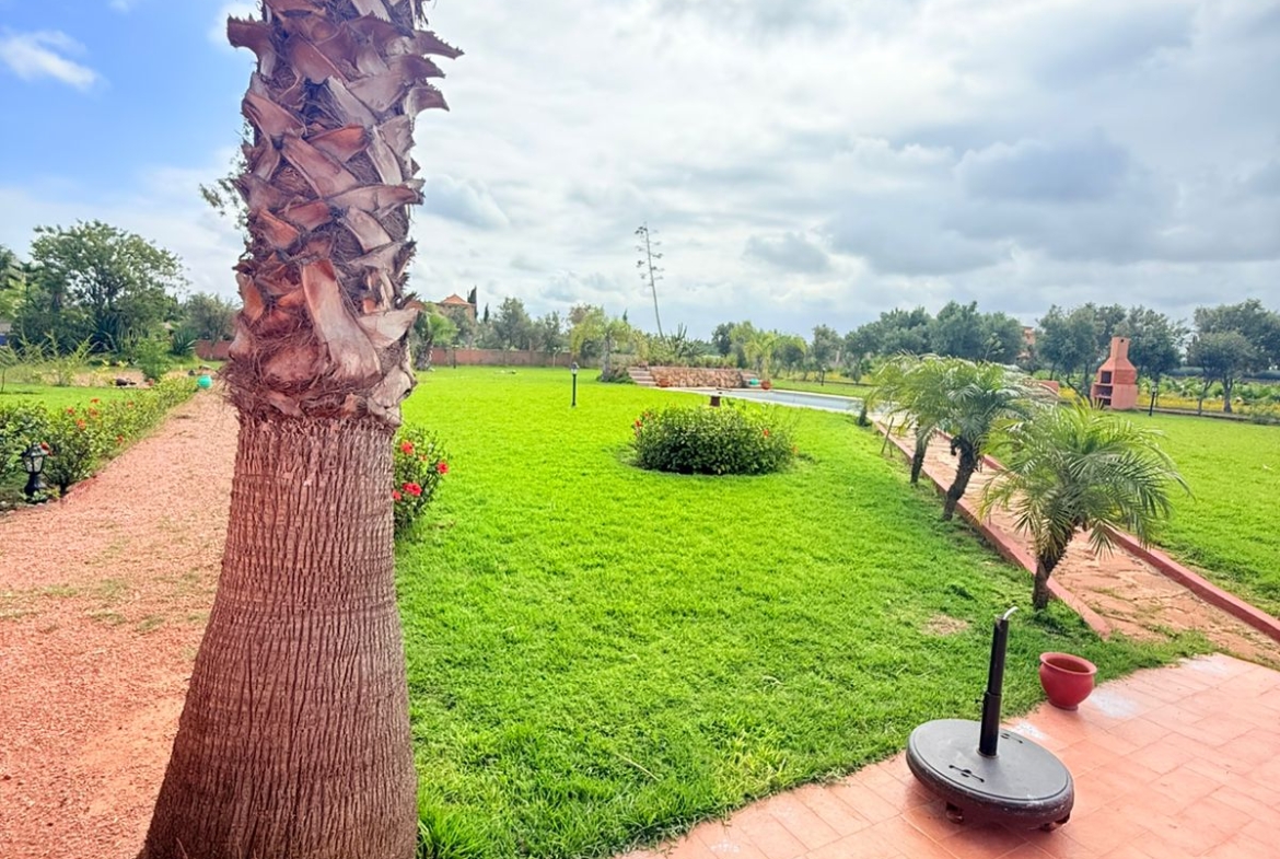 320c8804 Aa2a 44df 9199 6f825f60fe7b