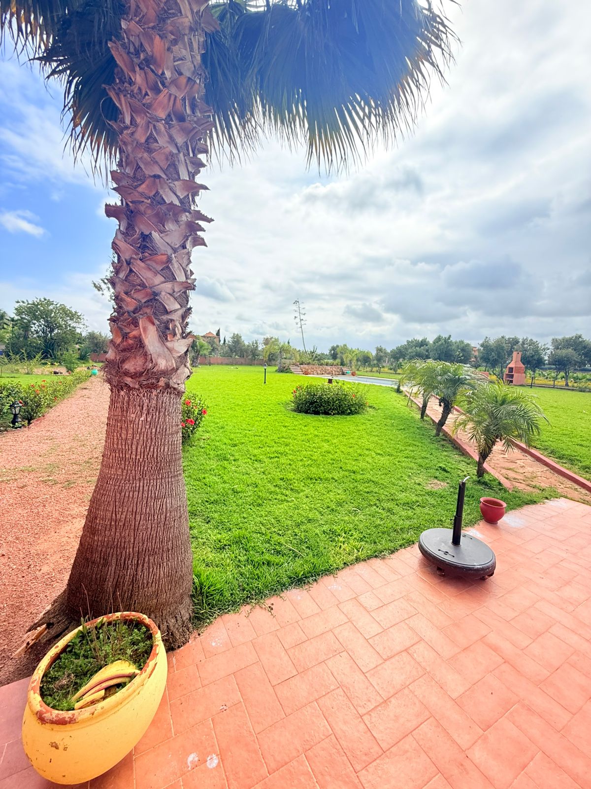 320c8804 Aa2a 44df 9199 6f825f60fe7b