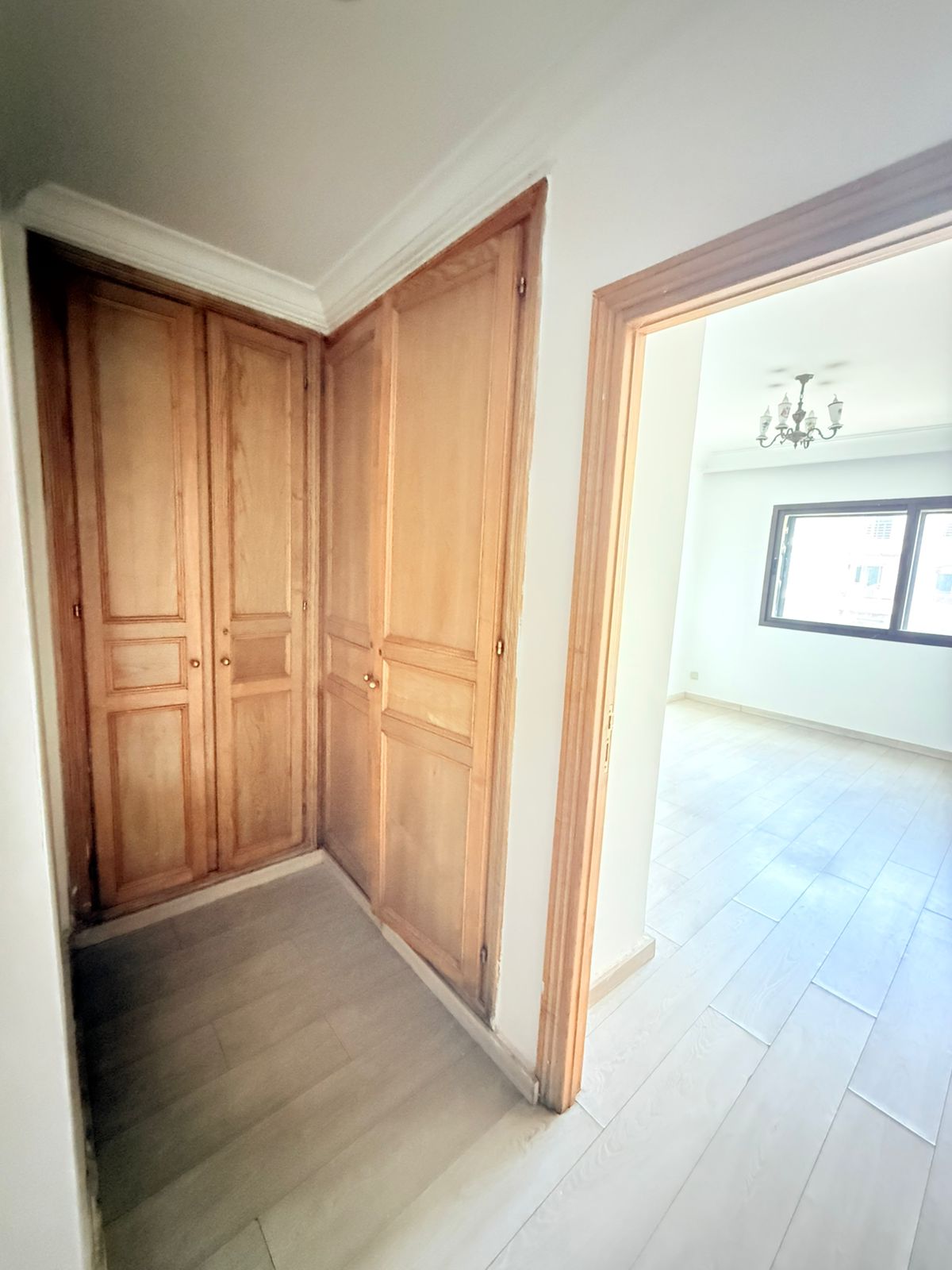 3d6891f3 1609 46dd 9cc6 455639377cde