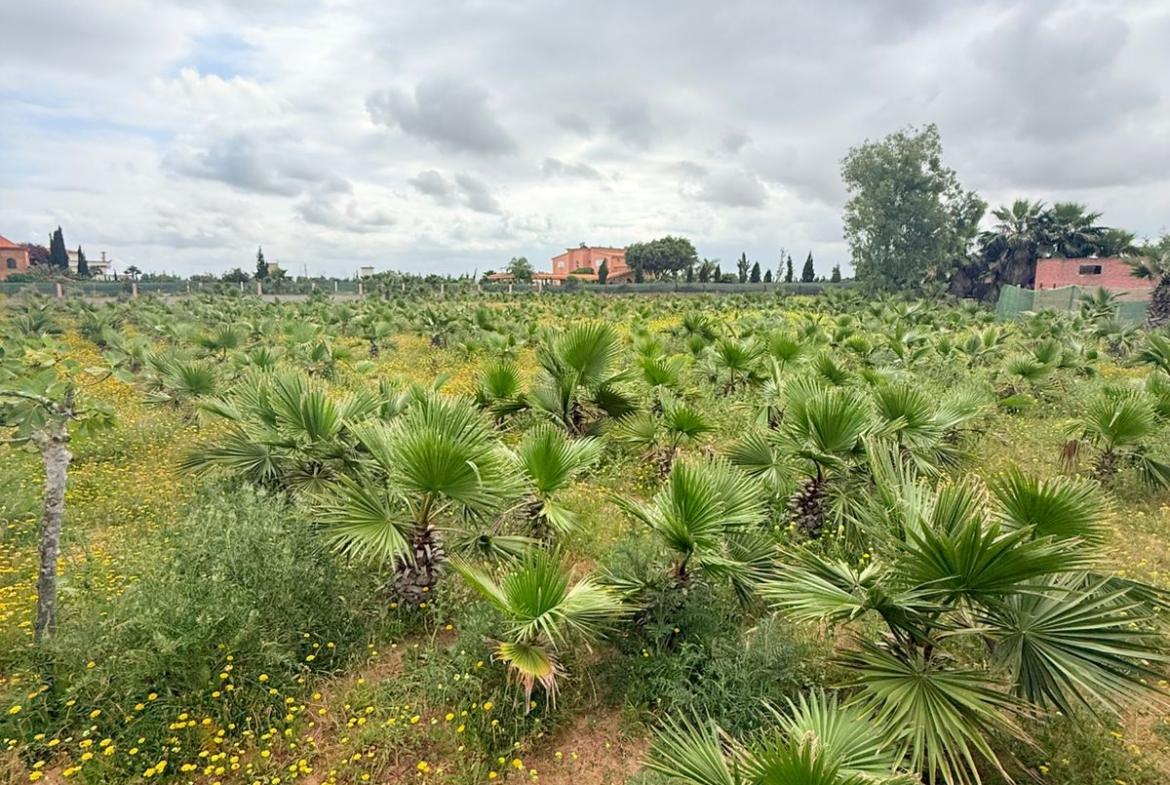 4d9d43fc 176c 4d03 Ba72 828901336a51