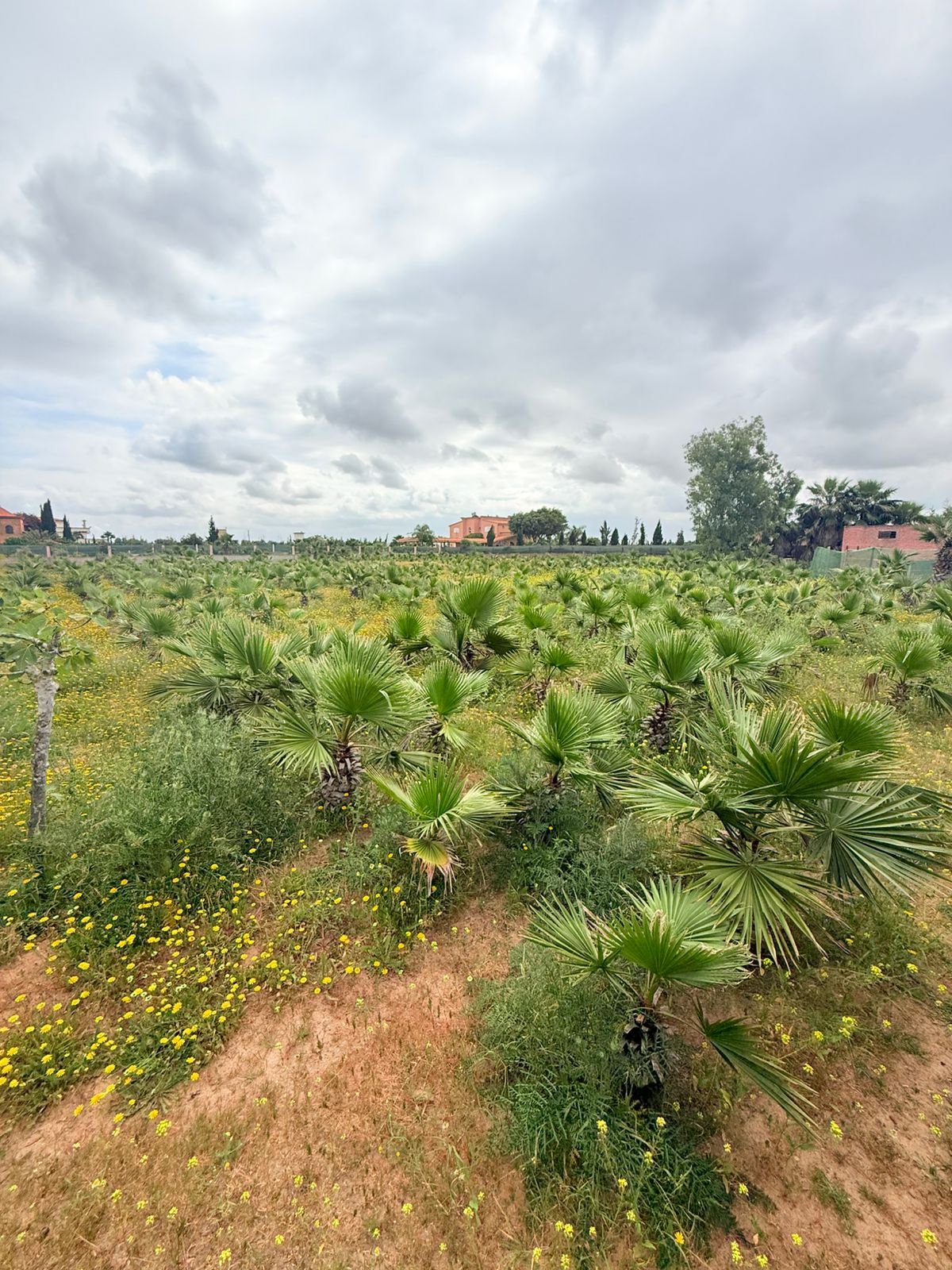 4d9d43fc 176c 4d03 Ba72 828901336a51