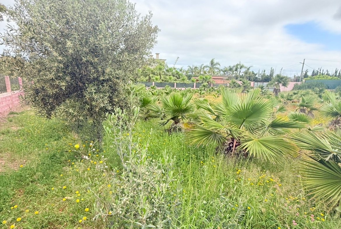 7a1bb96d 07c1 4534 8f54 79636e07adf8