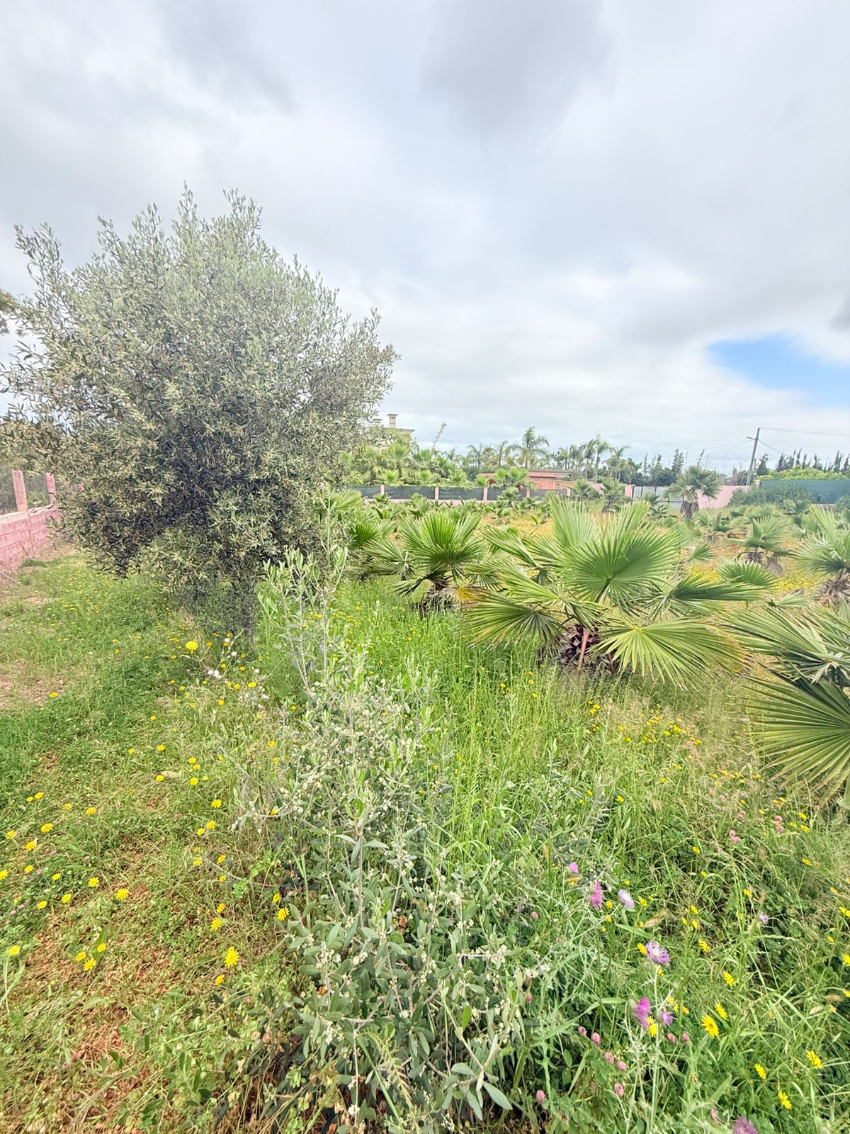 7a1bb96d 07c1 4534 8f54 79636e07adf8