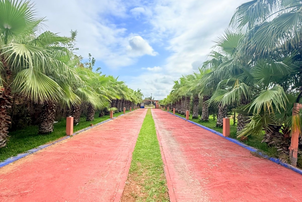 84d2b74f 4e58 4bc8 Abd9 9c053dd4ac21