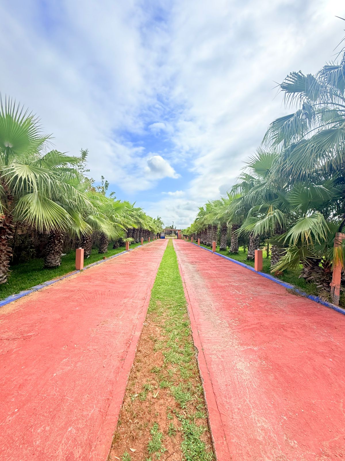 84d2b74f 4e58 4bc8 Abd9 9c053dd4ac21