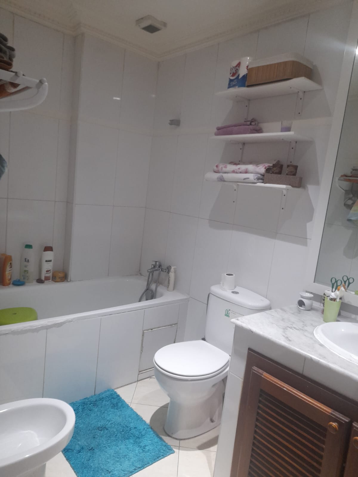 B55efa15 38fc 4687 9e57 4a7d9c438874