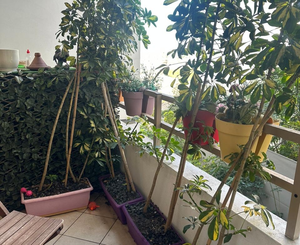 C04ca85f Fffd 4540 8c99 4260a09a8312