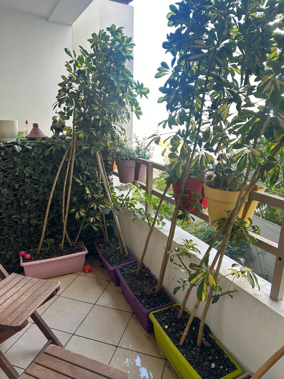 C04ca85f Fffd 4540 8c99 4260a09a8312