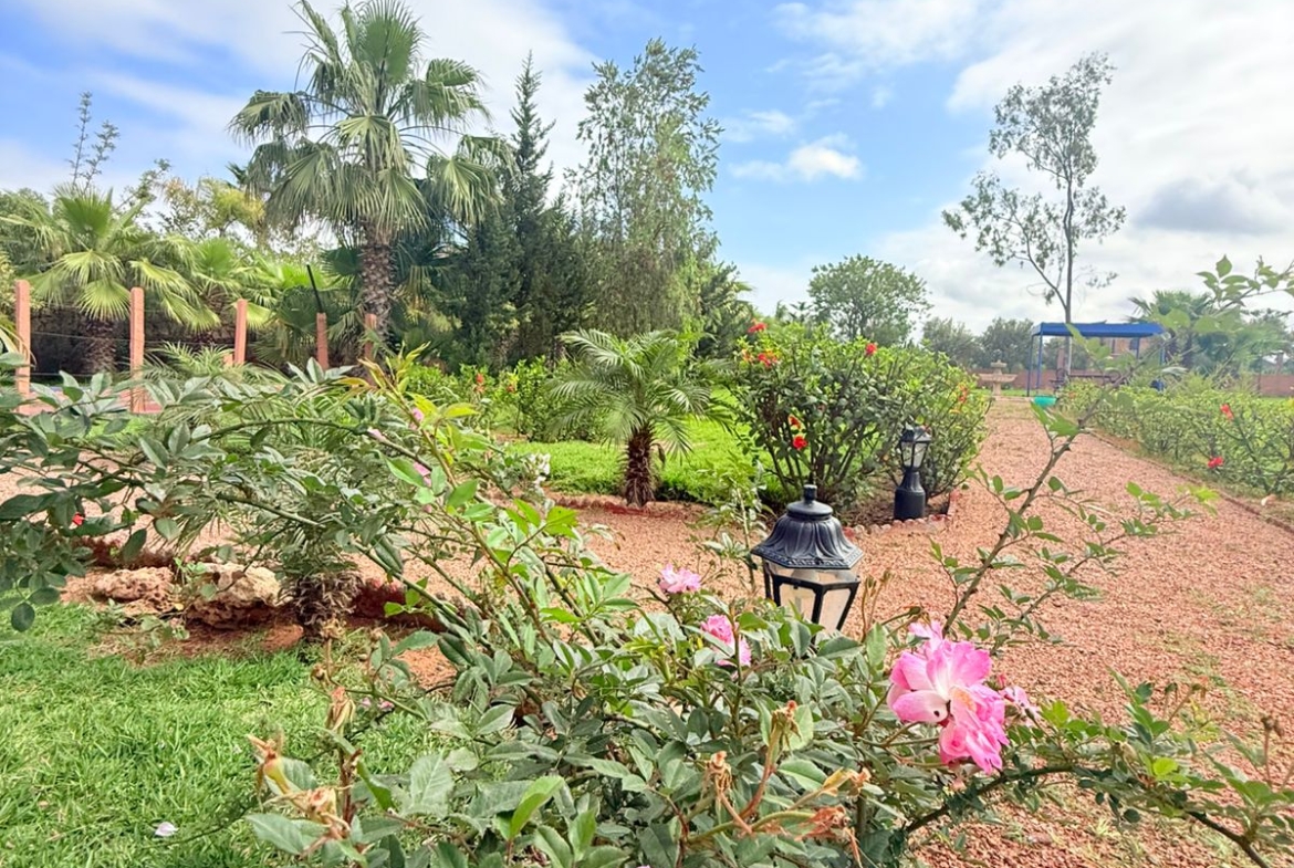 C126bb33 36ea 4f9b 8973 Ce8e8df8ed85