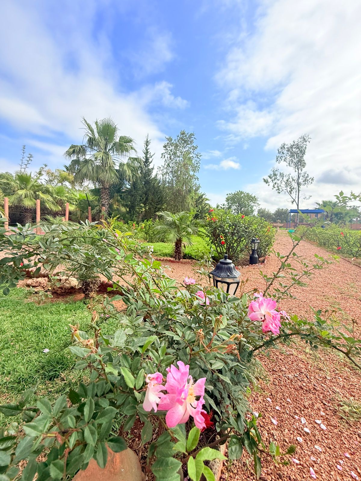 C126bb33 36ea 4f9b 8973 Ce8e8df8ed85