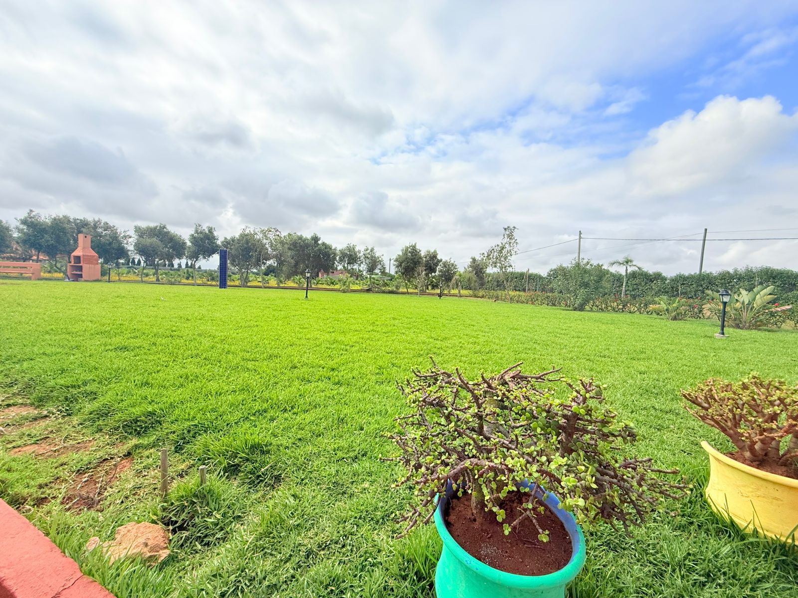 Cbcd0487 E981 4956 8bb7 9cb87c7a8170